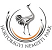 hnp-l